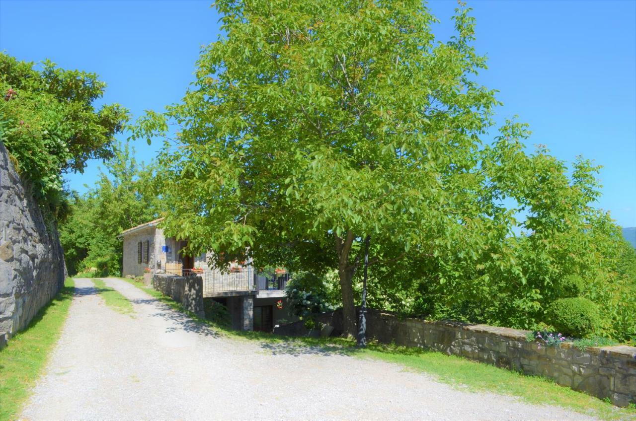 Appartement Franko - *